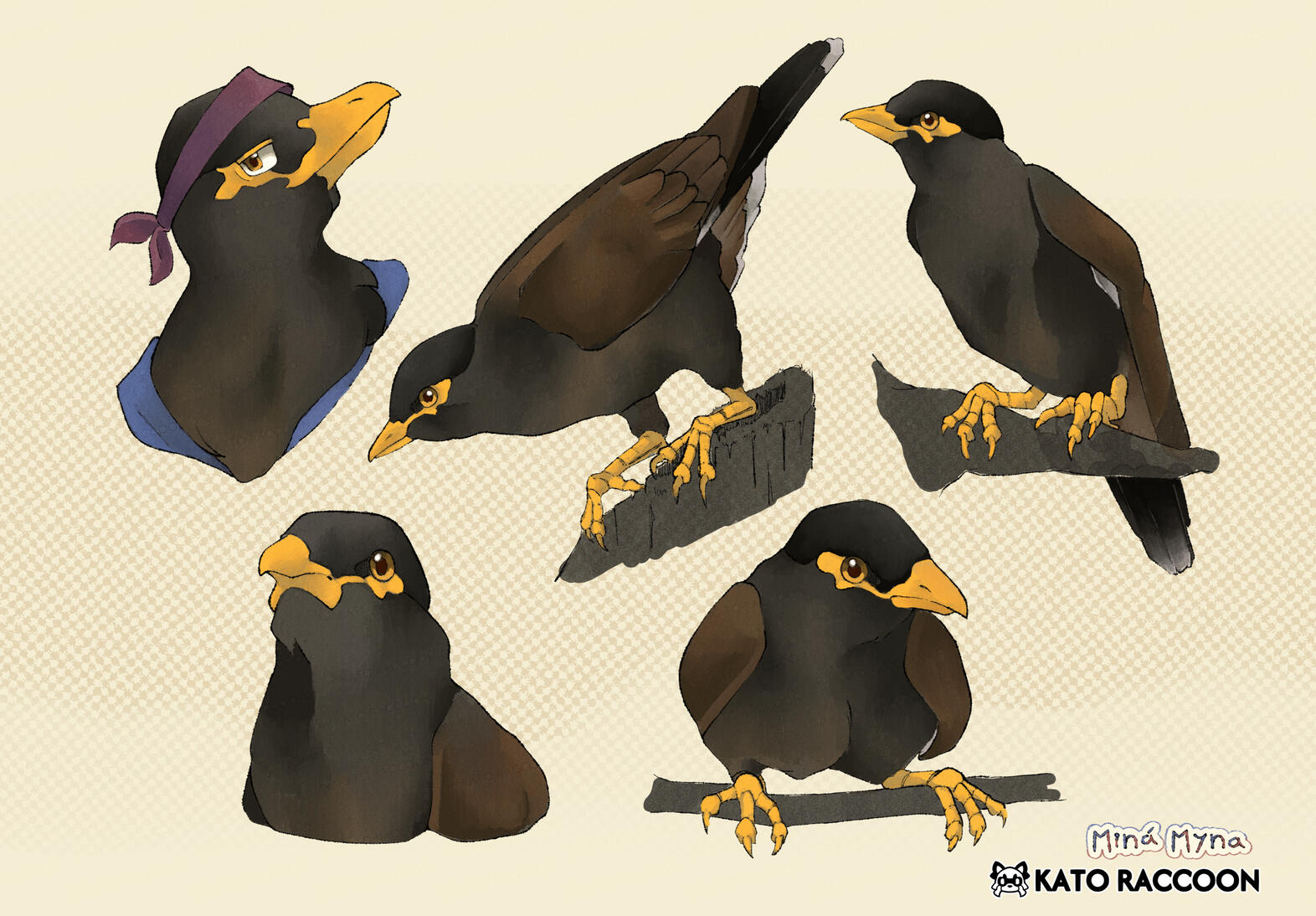 Myna